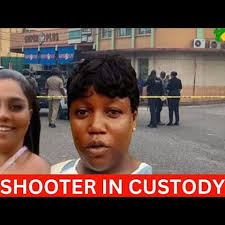 Fundraiser by Opal Plummer-Barnes : Support Melody's Long Road to Recovery