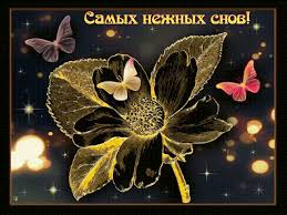 скачать картинки на телефон 480х800 бесплатно и без регистрации Https Encrypted Tbn0 Gstatic Com Images Q Tbn 3aand9gcqox4jvwtje 4hppzropbhqkq Dib8gmextag Usqp Cau