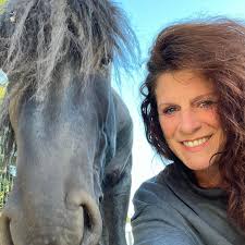 To save his grandson, a retired rodeo star enters a high-stakes bull-riding  competition. Along the way, he confronts his past, discovers faith, and  proves that true courage lies in family. The Last