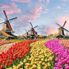 Gail Avey and Jose Leal's Wedding Registry