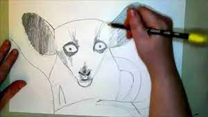 How to Draw an Aye-Aye Lemur - YouTube