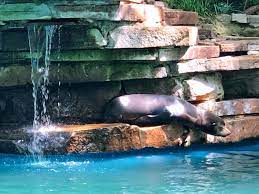 Visitors to dortmund are often surprised to find zoological gardens of such format in a westphalian city generously endowed with park and green spaces anyway. Das Zukunftsprogramm Fur Den Zoo Dortmund Lauft Bis 2023 Werden Uber 31 Millionen Euro In 40 Anlagen Investiert Nordstadtblogger