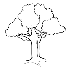 There's something for everyone from beginners to the advanced. Drawings Tree Nature Printable Coloring Pages