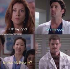 'grey's anatomy' is a very culturally diverse show. Pin By Lulu On Greys Anatomy Anatomy Quote Greys Anatomy Memes Greys Anatomy Funny