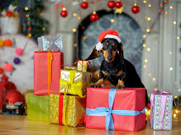 These candles have unique and distinct scents for each of the 50 states. Unique Holiday Gifts For Dog Lovers