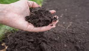 It's a tried and proven formula used by the mushroom growers. Getting The Garden Ready Nutri Mulch Worth Its Weight In Gold