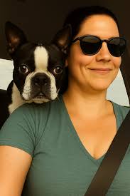 Boston terrier adoption experience