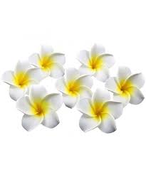 Hawaiian Plumeria Wedding Accessories Decorate Ch11xjk9803 Artificial Flowers Decor Artificial Flowers Plumeria Flowers