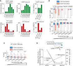 Line 1 Evasion Of Epigenetic Repression In Humans