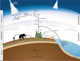 How does the radiocarbon dating method work? Radiocarbon Dating In Archaeology Springerlink