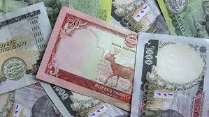 Into the crypto market (really, any market) no matter how much you believe in it. National Currency Of Nepal Stock Footage Video 100 Royalty Free 1020438997 Shutterstock