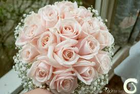Costco Blush Pink Roses Yahoo Image Search Results Blumenstrauss Hochzeit Brautstrausse Hochzeit Strauss