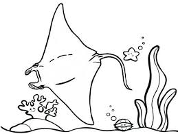 Stunning Stingray Coloring Page Coloring Pages Animal Coloring Pages Color