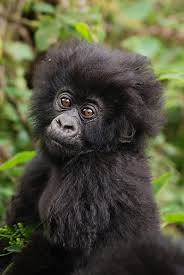 Barbara Fiene (barbarafiene)