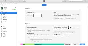 Check spelling or type a new query. How To Recover Deleted Messages On The Iphone