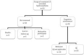 Neurodevelopmental Long Term Outcome In Children With