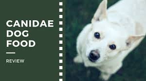 Compare customer reviews about canidae pet food concerning product quality, product variety, prices and more. Canidae Dog Food Review 5 Best Products Ingredient Analysis Recalls