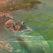 jesusun, JESUS Christ UN Law, JESUS Christ ICCDBB, Bible formulas, new Bible translations, JESUS Spirit, Oath Of Office, Create Heaven on Earth, measure Faith, JESUS Identified Amount, JIA, the 7th Seal, The 5 Pennies Rule, precept on precept, places blame on excess selfishness and Gives Wisdom to fear JESUS Christ more than any other, therefore to not be addicted nor lower levels, to rather be the Christian Warning All to be Alert In Desperate Highest Level Love.