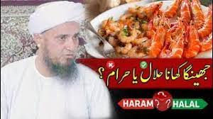 There are some texts that say eat only scaled fish, others that say whatever is in the sea you can eat. Quick Answer Is Prawn Halal In Islam Voip