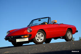 Image result for Rosso 1980 Alfa-Romeo