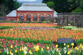Spring flowers in asheville nc. Biltmore Estate In Asheville Nc Is Ready For Spring Time Blooms Asheville Vacation Homes