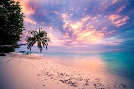 Check spelling or type a new query. Tropical Beach Sunset Wallpaper And Background Image Sunset Wallpaper Tropical Beach 1472x981 Wallpaper Teahub Io