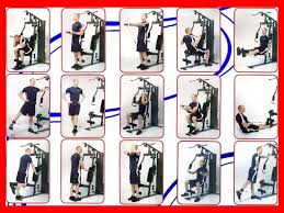 Exercises For Golfer Improve Your Game With Golf Exercise Total Gym Golf Exercises Golf Weight Machine Workout Gym Workout Chart Home Gym Machine
