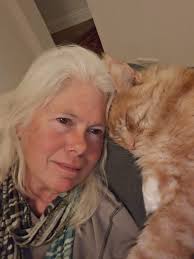 Aslan, our Maine Coon.