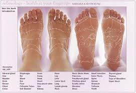 Interactive Foot Reflexology Chart Just Redid The Chart