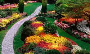 Our crew at taylor landscaping can help you find the design that works for you, capturing your preferences and expressing your personality through greenspace. Landscape Design Louisville Ky Arbor Tree Care
