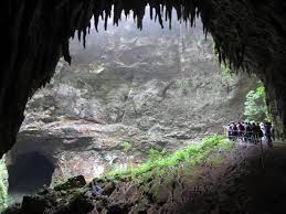 Parque Las Cavernas Del Rio Camuy Cool Places To Visit San Juan Puerto Rico Camuy