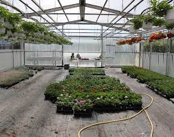 We did not find results for: How Does A Greenhouse Work Essential Home And Garden