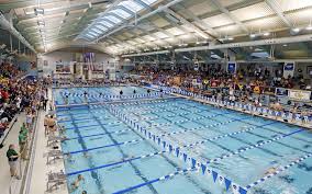 Official instagram account of the university of minnesota twin cities. Jesse Moore Joins Gopher Swim And Dive Staff University Of Minnesota Athletics