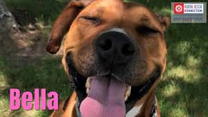 To make sure you find the perfect place, you can sort the. Josd1tuci Hewm