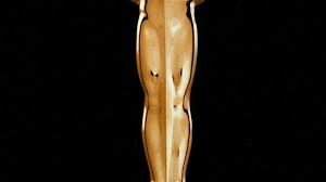 We didn't choose this life, we're just living in it. now it's your turn! Oscars 2021 Test Academy Awards Hollywood Knowledge With Our Quiz