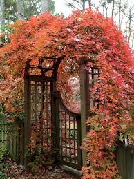 Posted by jeannette on 10th jun 2019. Pin On Giardino