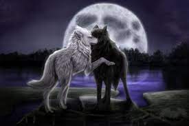 Pin By Carmen Terronez On Wolves Wolf Love Anime Wolf Wolf Wallpaper