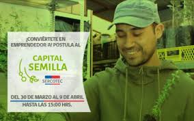 ¡en sercotec, nuestro corazón las pymes!. Sercotec Capital Semilla Postulaciones 2021