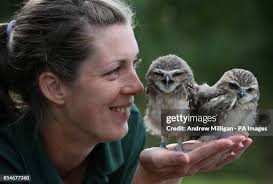 46 Laura Burrows Stock Photos, High-Res Pictures, and Images