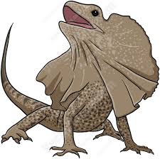 Brown Frill Necked Lizard Cartoon Style Drawing Australian Animals Animal Photo