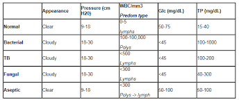 Lumbar Puncture Guide Imrespdx