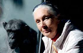 Annual Report 2011– 2012