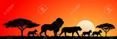 Lions Silhouettes At Sunset And Abstract Landscape Lions Family Royalty Free Cliparts Vectors And Stock Illustration Image 53285617 The best selection of royalty free silhouette lion family vector art, graphics and stock illustrations. lions silhouettes at sunset and abstract landscape lions family