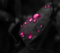 Personalised wallpaper and personalised decals. Page 5 Hd Cool Pink Wallpapers Peakpx