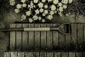 It's not a common practice to send flower at a jewish funeral. Shoveling Dirt On Ritual And Grief At A Jewish Funeral Pangyrus