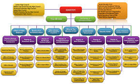 organizational chart ministry of labour and social affair