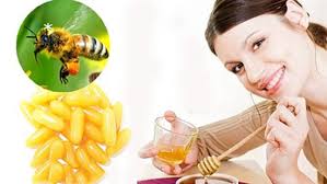Có Nên Uống Sữa Ong Chúa Thường Xuyên Không? - Organic Hải An