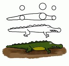 How To Draw Crocodile Animal Line Drawings Cartoon Animals Funny Cartoon