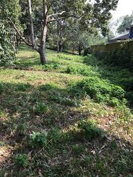 Republika.co.id, komisi pemberantasan dalam ajaran islam, hukuman untuk tindak pidana pencurian adalah potong tangan. Perkhidmatan Tebang Pokok Kuantan Laman Rumput