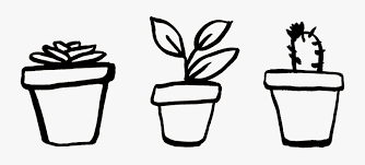 Draw and color plus 144.767 views7 months ago. Plant Pot Drawing Png Free Transparent Clipart Clipartkey